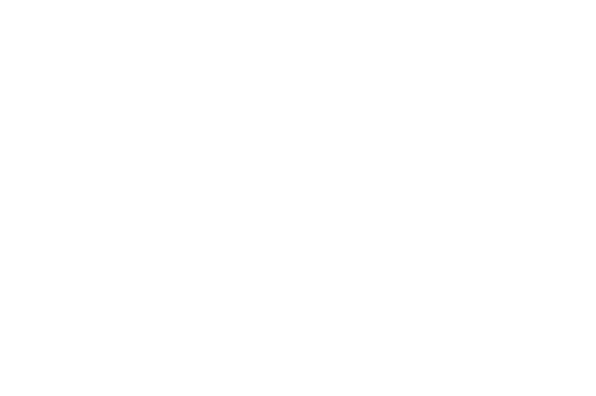 2-HAND 29 -07;牛皮;29毫米;日历;Atlas®;银色;不锈钢;黑色;蓝宝石,水晶玻璃;蒂芙尼;圆形;不锈钢;50米