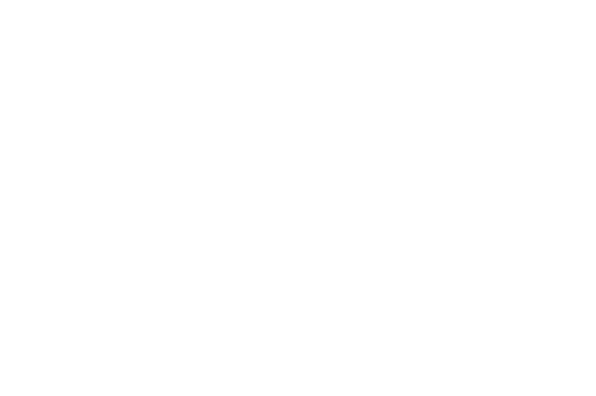 白色;精钢;银色;背透;Van der Gang Watches;NATO 北约;41毫米;计时,月历,星期历,日历,两地时;蓝宝石,水晶玻璃;圆形;Original;精钢;20052BW-TB