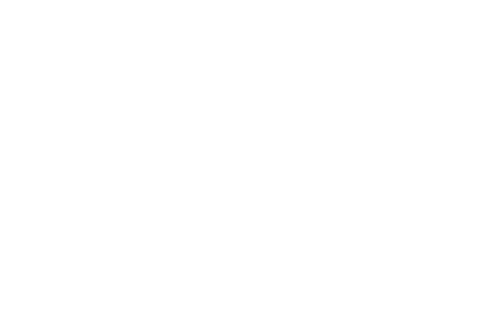 20052BW-TRg;精钢;背透;皮带;精钢;圆形;银色;计时,月历,星期历,日历,两地时;蓝宝石,水晶玻璃;Van der Gang Watches;白色;41毫米;Original