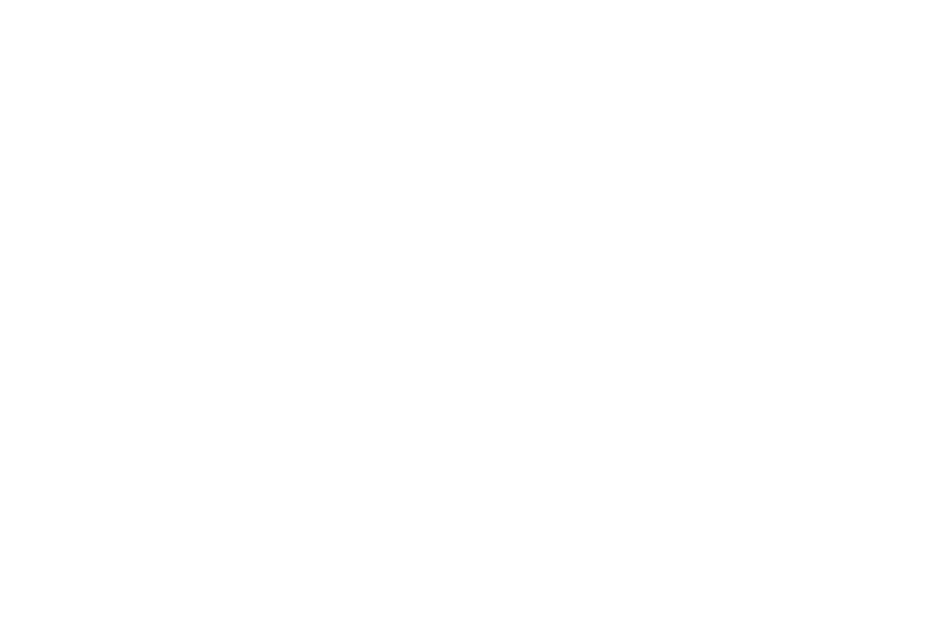 精钢;Van der Gang Watches;圆形;41毫米;背透;蓝宝石,水晶玻璃;银色;计时;Chronograaf;皮带;20019ZD;白色;精钢