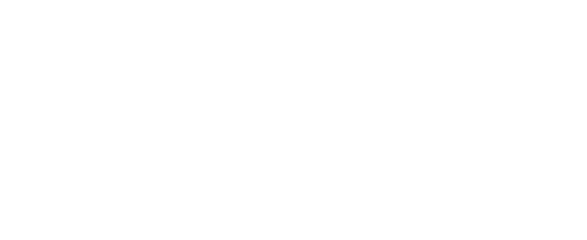 30毫米;DB2005V3;手动上弦;4赫兹;27;De Bethune;120小时;339