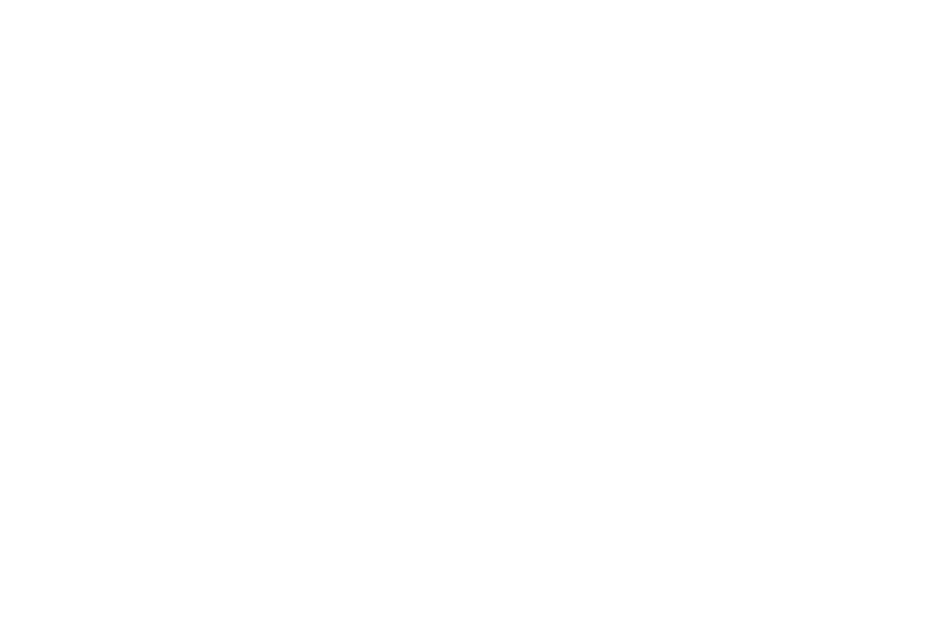 37.50毫米;不锈钢;蒂芙尼;Atlas®;日历;银色;50米;黑色;不锈钢;牛皮;蓝宝石,水晶玻璃;圆形;2-HAND 37.5 -01