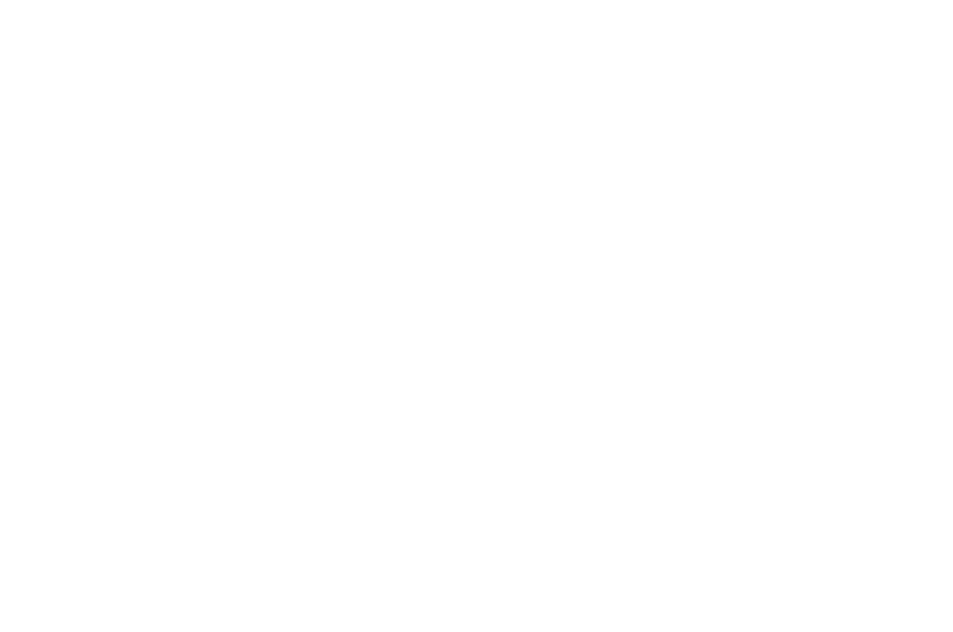 银色;Atlas®;日历;蓝宝石,水晶玻璃;黑色;圆形;不锈钢;蒂芙尼;31毫米;2-HAND 31-02;镶嵌,镶钻;50米;不锈钢