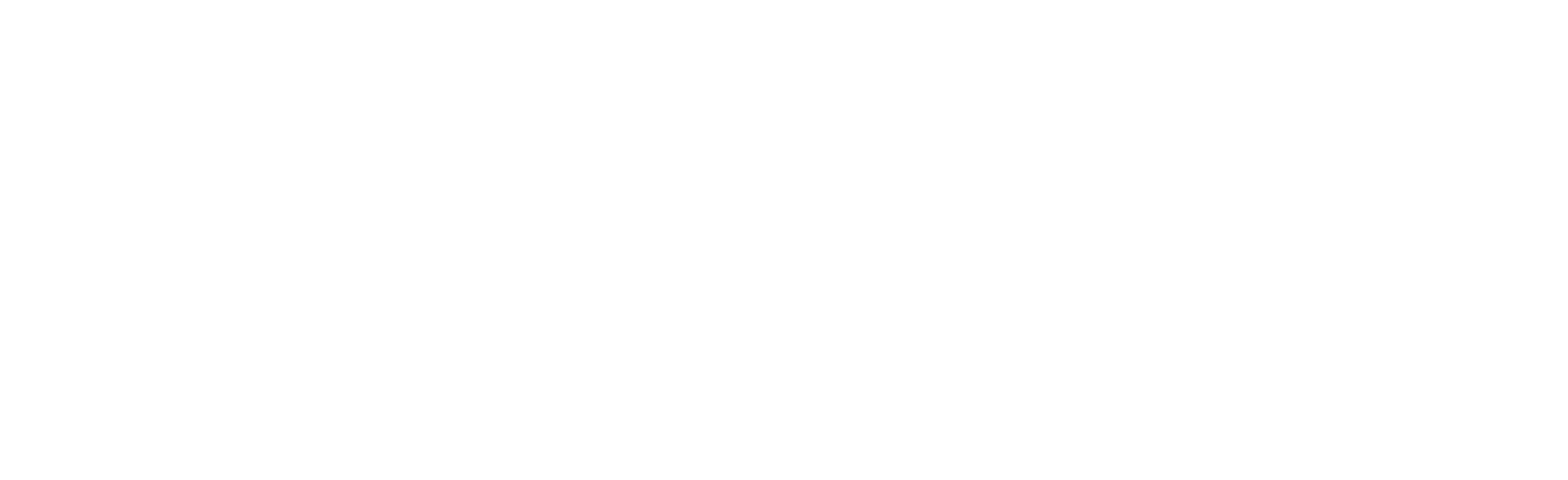 hk-precision-technology;PT5000;4赫兹;25;自动上弦;25.6毫米
